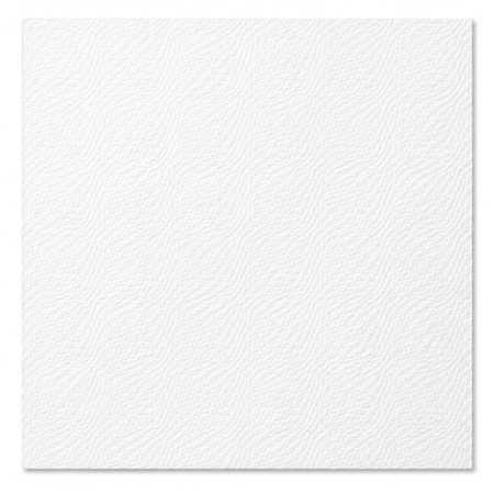 Image de SERVIETTE OUATE BLANCHE 29X29 1F