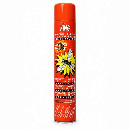 Image de INSECTICIDE ANTI-FRELONS KING AÉROSOL 750 ML