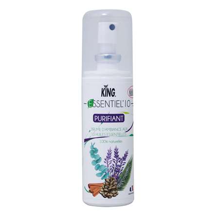 Image de ESSENTIEL'10 PURIFIANT KING SPRAY 100CC