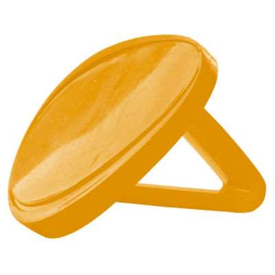 Image de CLIP ODORANT PRODIFRESH MANGUE