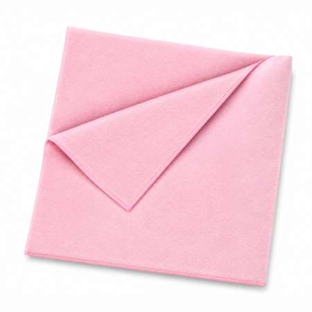 Image de LAVETTE MICROFIBRE NT100 ROUGE