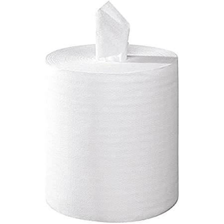 Image de BOBINE 450 FORMATS AVEC MANDRIN GAUFREE 2 PLIS DESL ECOLABEL