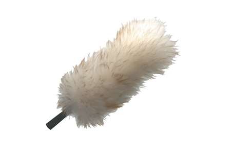 Image de PLUMEAU AGNEAU STARDUSTER