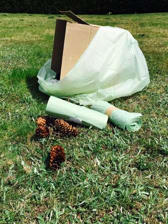 Image de SAC POUBELLE VERT 110 LITRES 36 MICRONS SANS LIEN